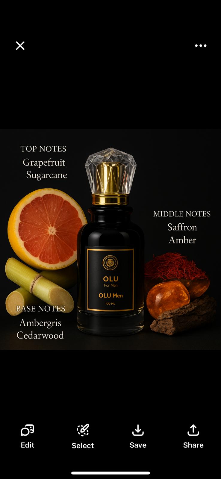 Velora Bloom Olu Unisex Perfume 100ml